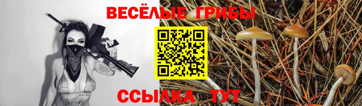 Галлюциногенные грибы GOLDEN TEACHER Ростов Великий