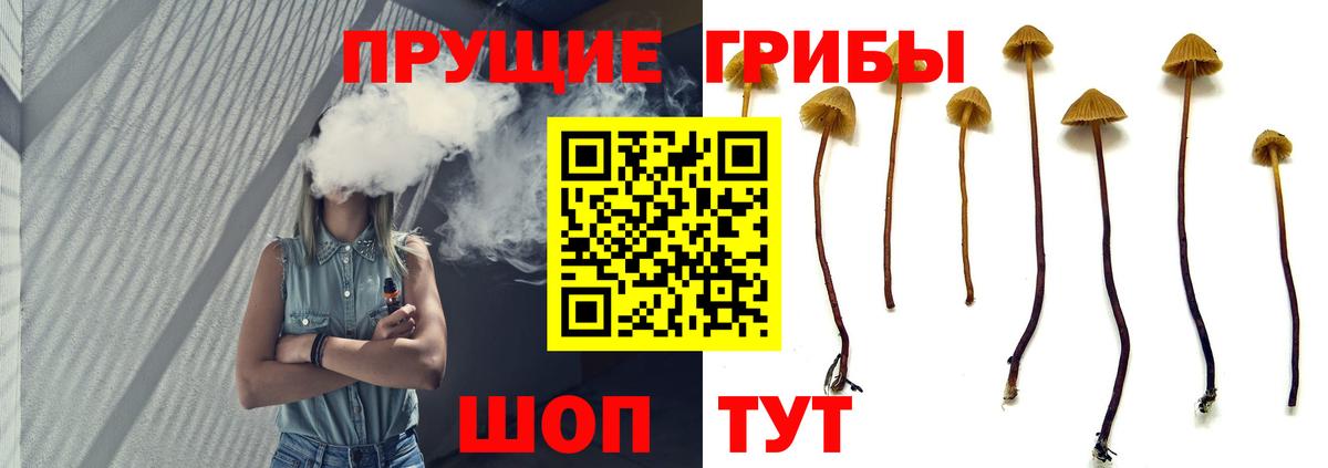 Ростов Великий  Галлюциногенные грибы мицелий  Вход с VPN  Псилоцибиновые грибы MAGIC MUSHROOMS 